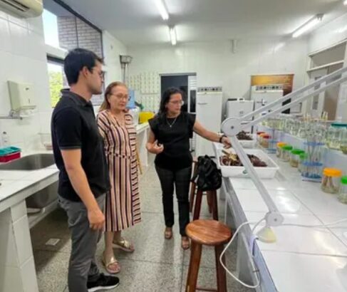 Preservação e a Sustentabilidade no Cariri paraibano
